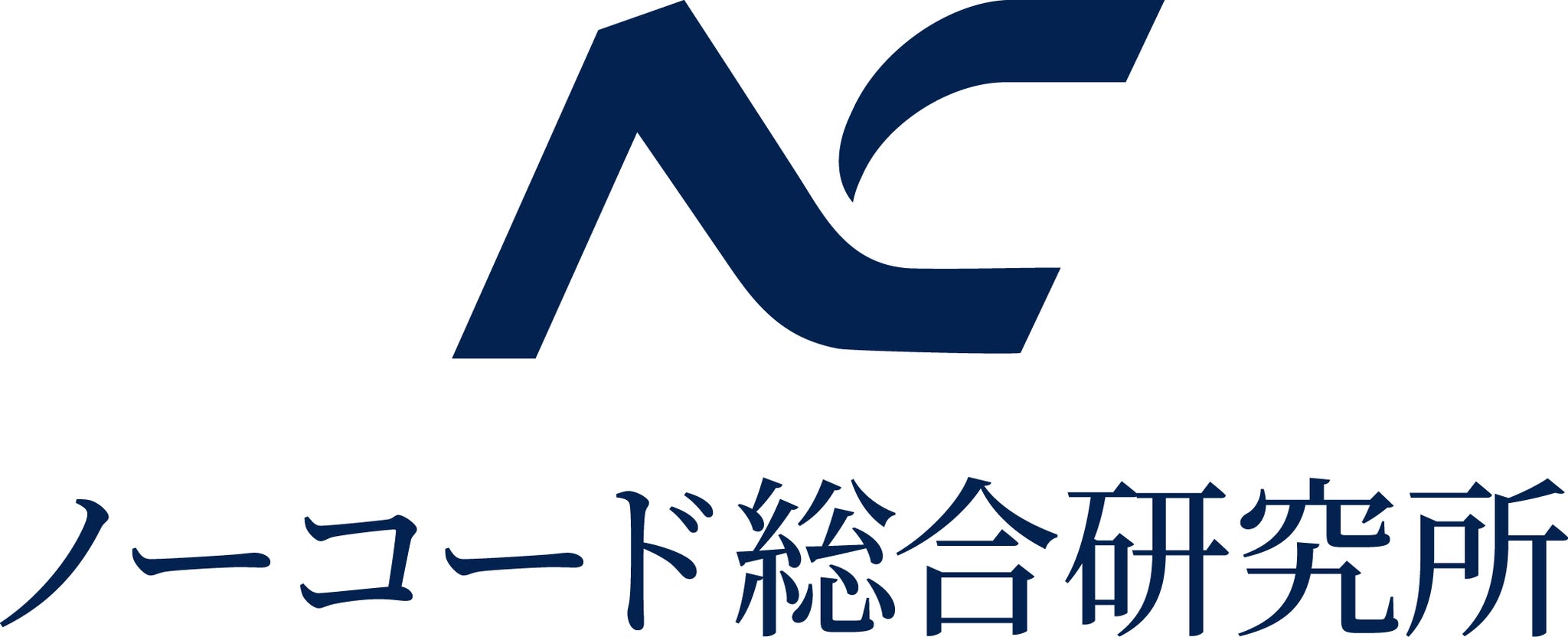 株式会社ノーコード総合研究所